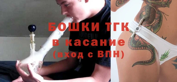 тгк Алзамай