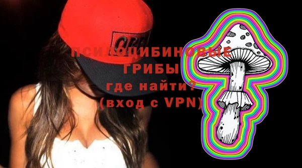тгк Алзамай