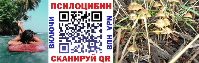 Псилоцибиновые грибы ЛСД  Купить где  Снежинск 